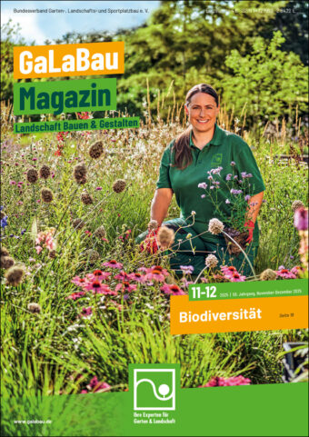 November-Dezember 2025